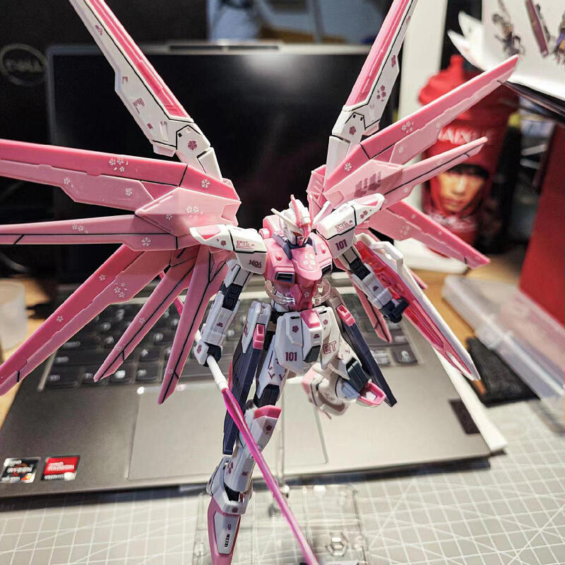 HG Gundam Assembled Model Kit  - Bandai Model Gundam Hg review and price