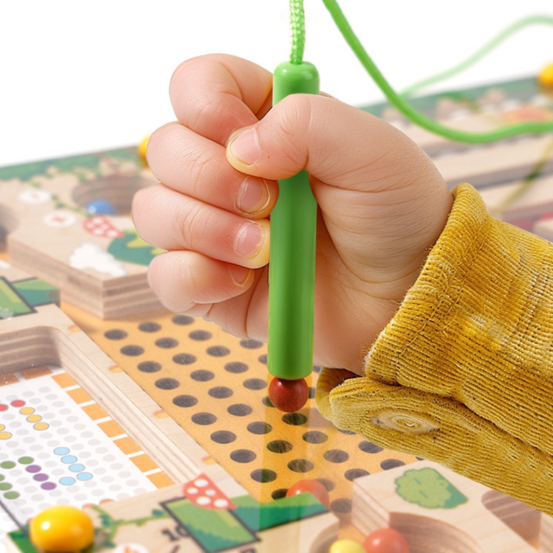 Magnetic Sorting Games Montess - Board Game Qwirkle review and price