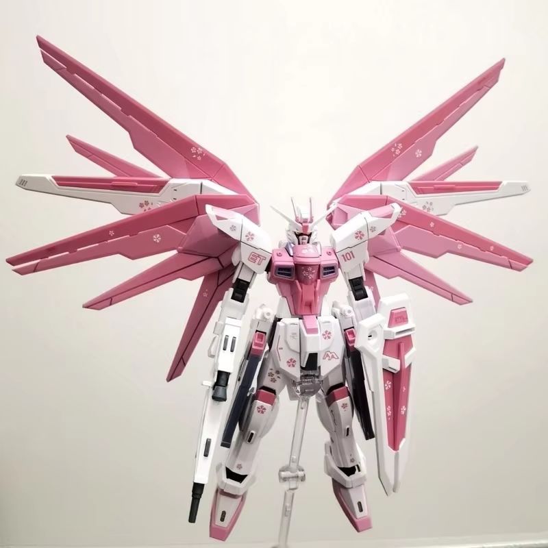 JMS HG 1/144 ZY-06 Freedom Ass - Bandai Model Gundam Hg review and price