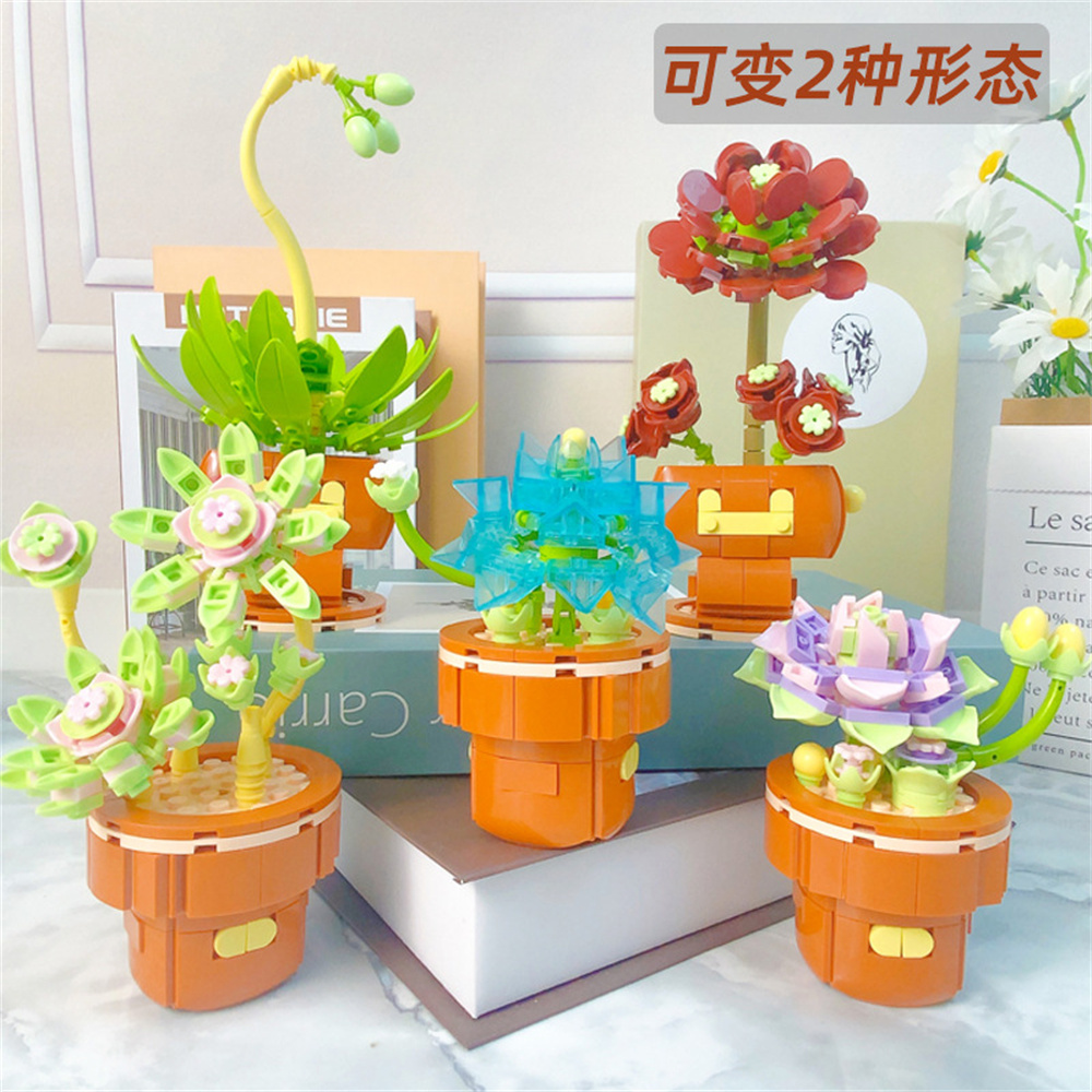 2024 City Creativity Succulent - Lego Set Creator review and price
